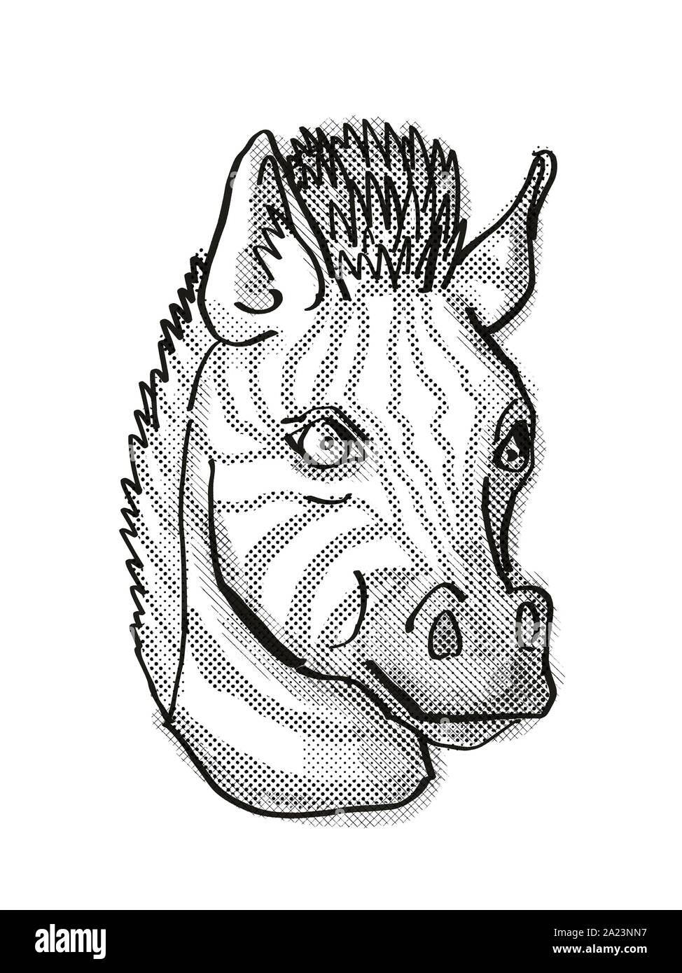 Zebra head cartoon hi-res stock photography and images - Alamy Zebra head cartoon hi-res stock photography and images - Alamy