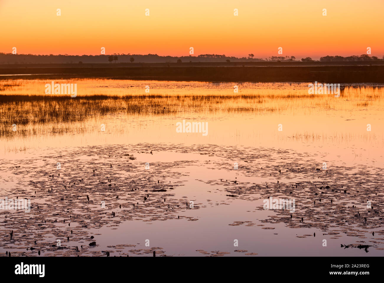 Sunrise over a freshwater marsh, St. Marks National Wildlife Refuge, Florida, USA Stock Photo