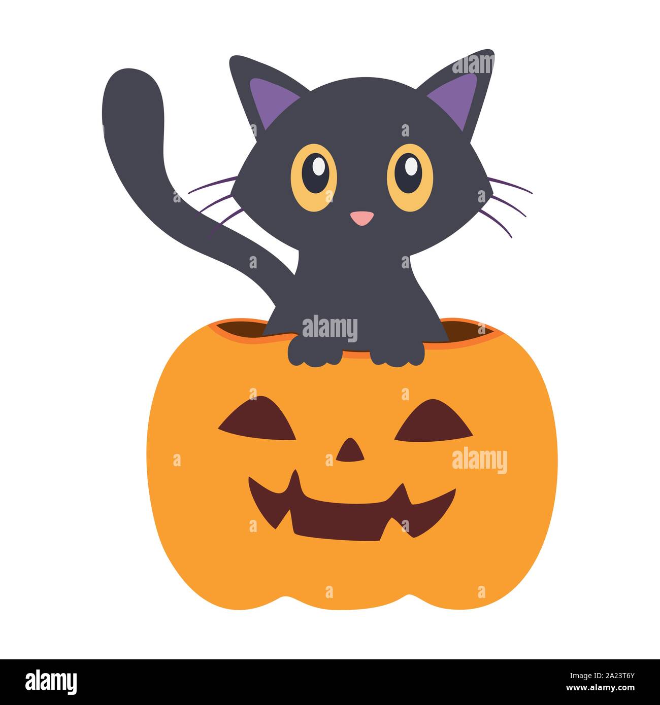 pumpkin with cat trick or treat happy halloween vector illustration ...