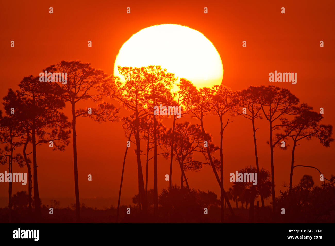 Sunrise over the salt marshes, St. Marks National Wildlife Refuge, Florida, USA Stock Photo