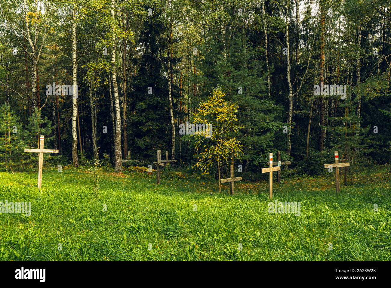 Forest and Crosses at Mass Grave in Kurapaty, near Minsk, Belarus. Place of Mass Executions During Great Purge by NKVD Stock Photo