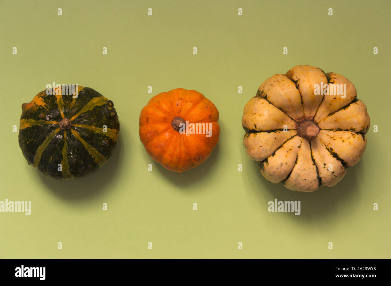 Three different pumpkins located next to each other on green background. Fancy pumpkins Stock Photo