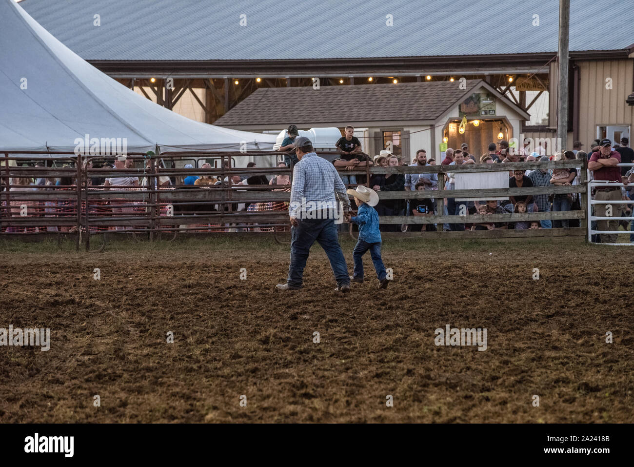 Country fair calf roping contest. Stock Photo