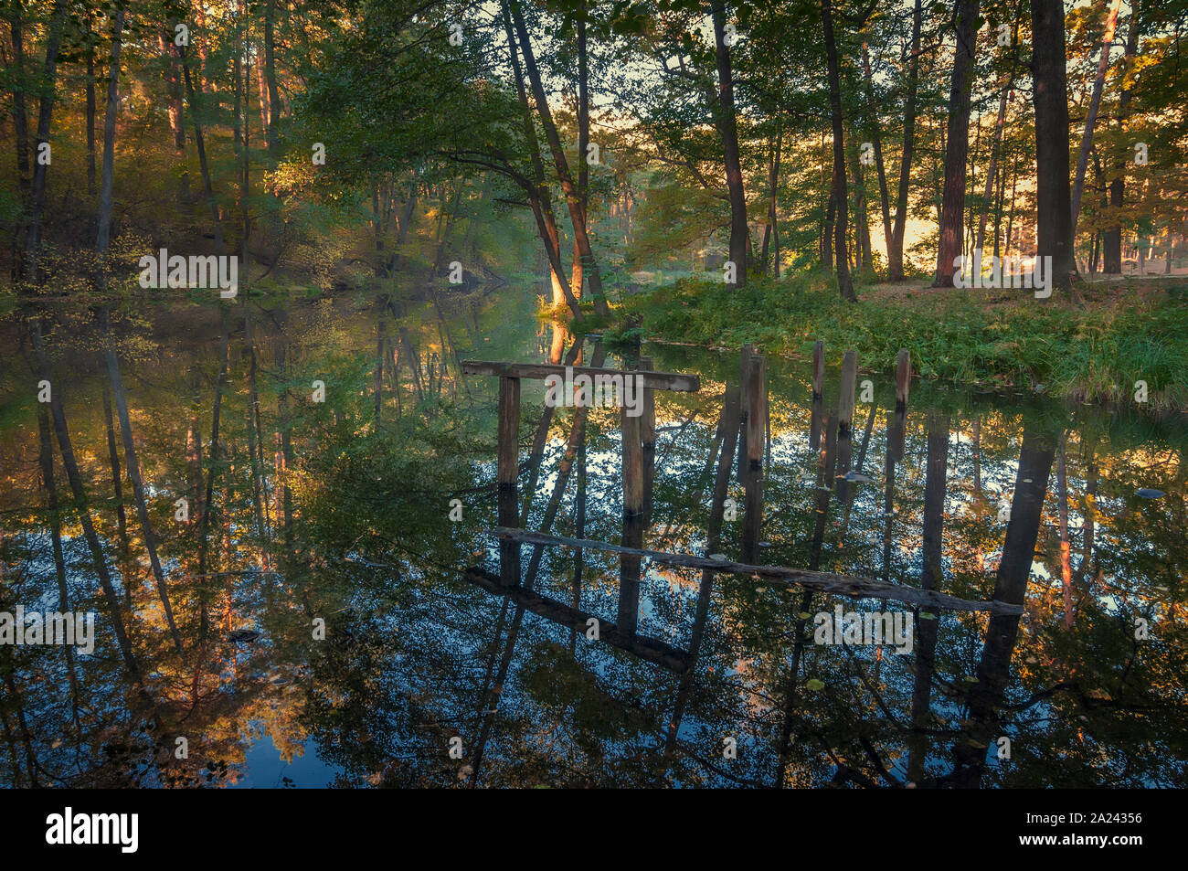 Tranquil lake deep in the park. Colorful autumn landscape Stock Photo