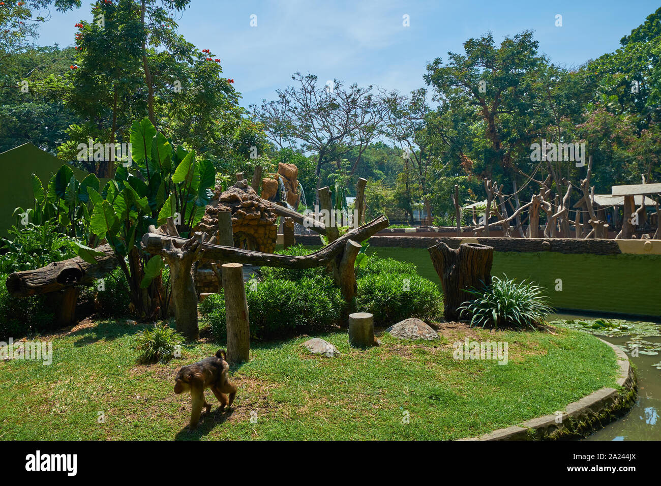 A look at some of the animal enclosures at the main city zoo in Surabaya, Indonesia. Stock Photo