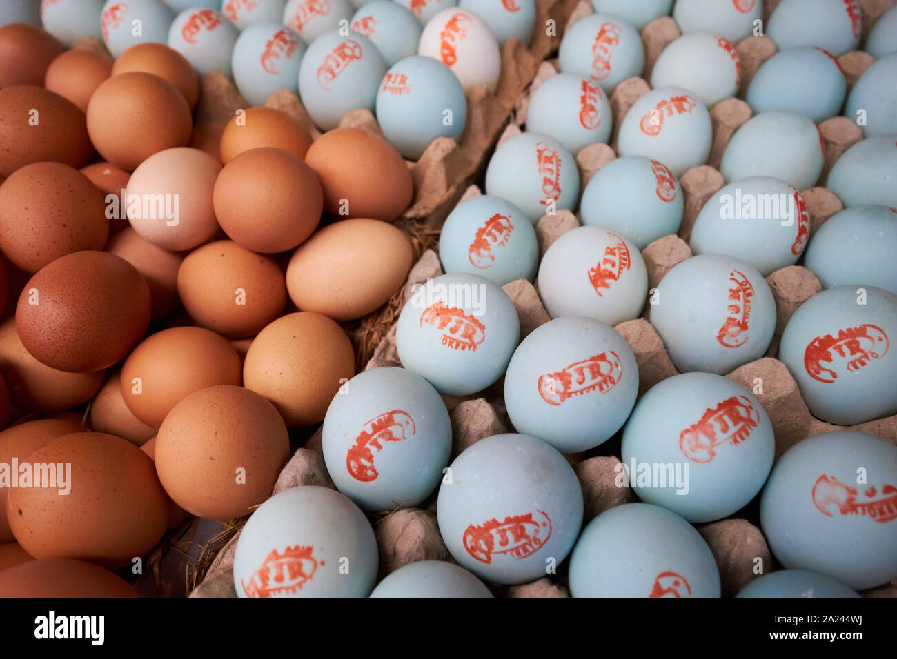 Blue and brown eggs for sale at the old, local, traditional market