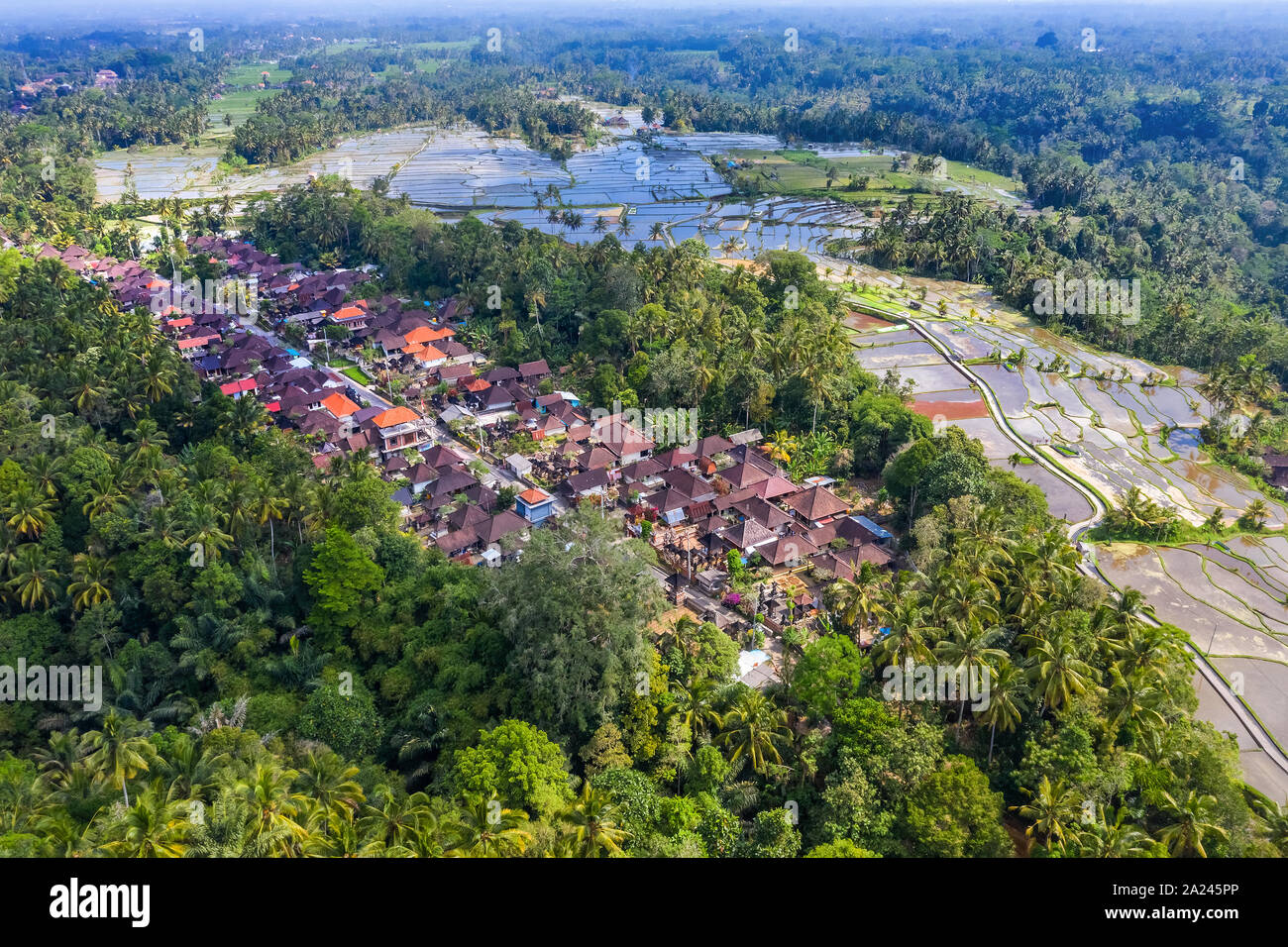 Aerial View of Tegallalang village and Rice Field Terrace, Bandung, West Java Indonesia, Asia. Royalty high quality free stock image of Bali. Stock Photo