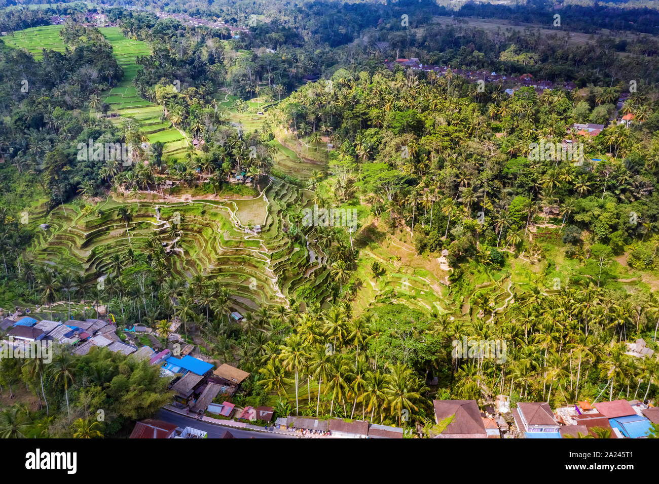 Aerial View of Tegallalang village and Rice Field Terrace, Bandung, West Java Indonesia, Asia. Royalty high quality free stock image of Bali. Stock Photo