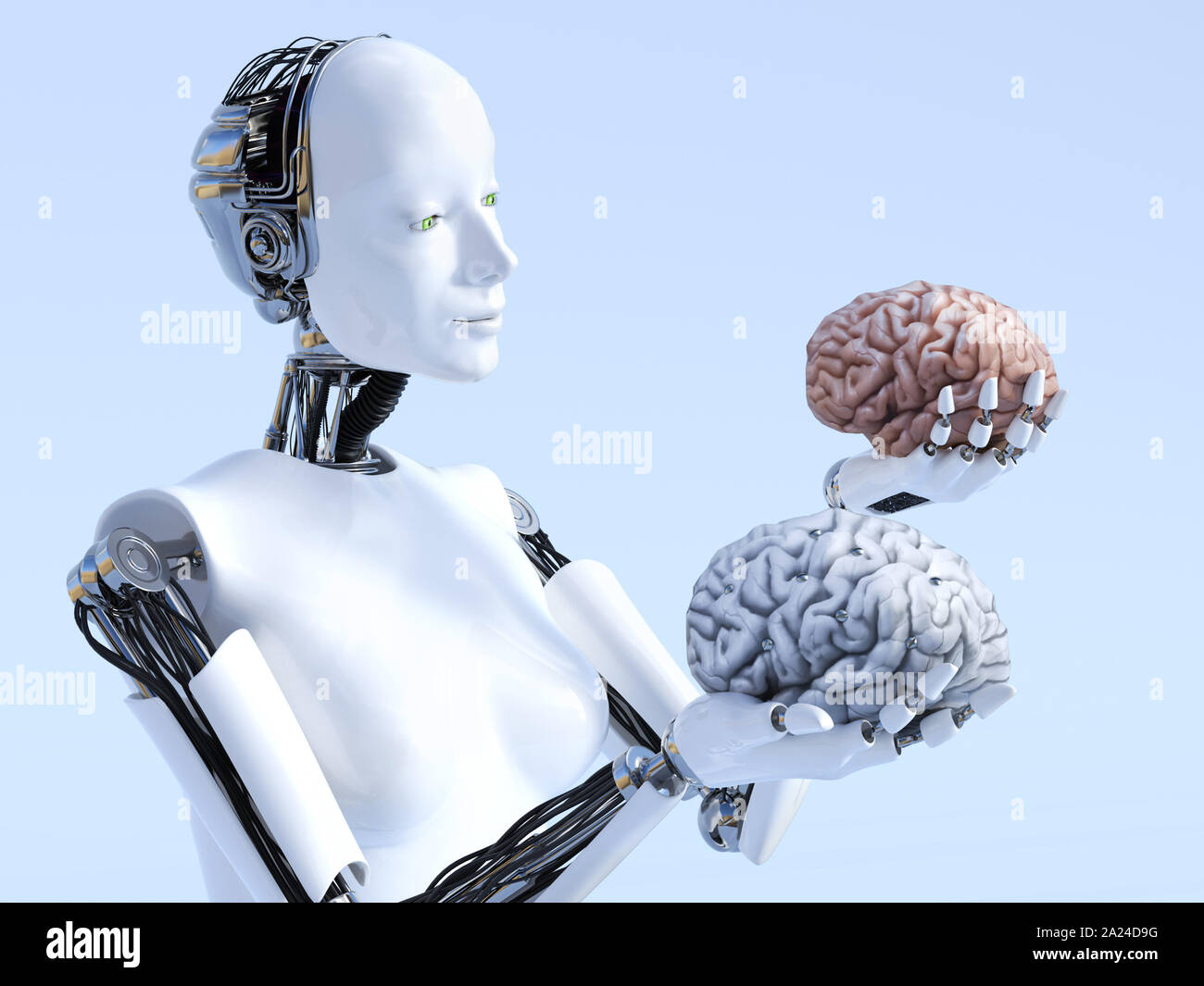 3D rendering of a female robot holding a human brain and a robot brain that  she is looking at and comparing. Futuristic artificial intelligence concep  Stock Photo - Alamy