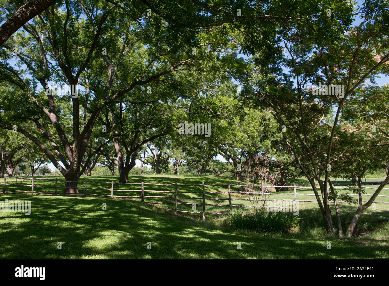 Part of the grounds of the Lyndon B. Johnson Ranch, once his and his