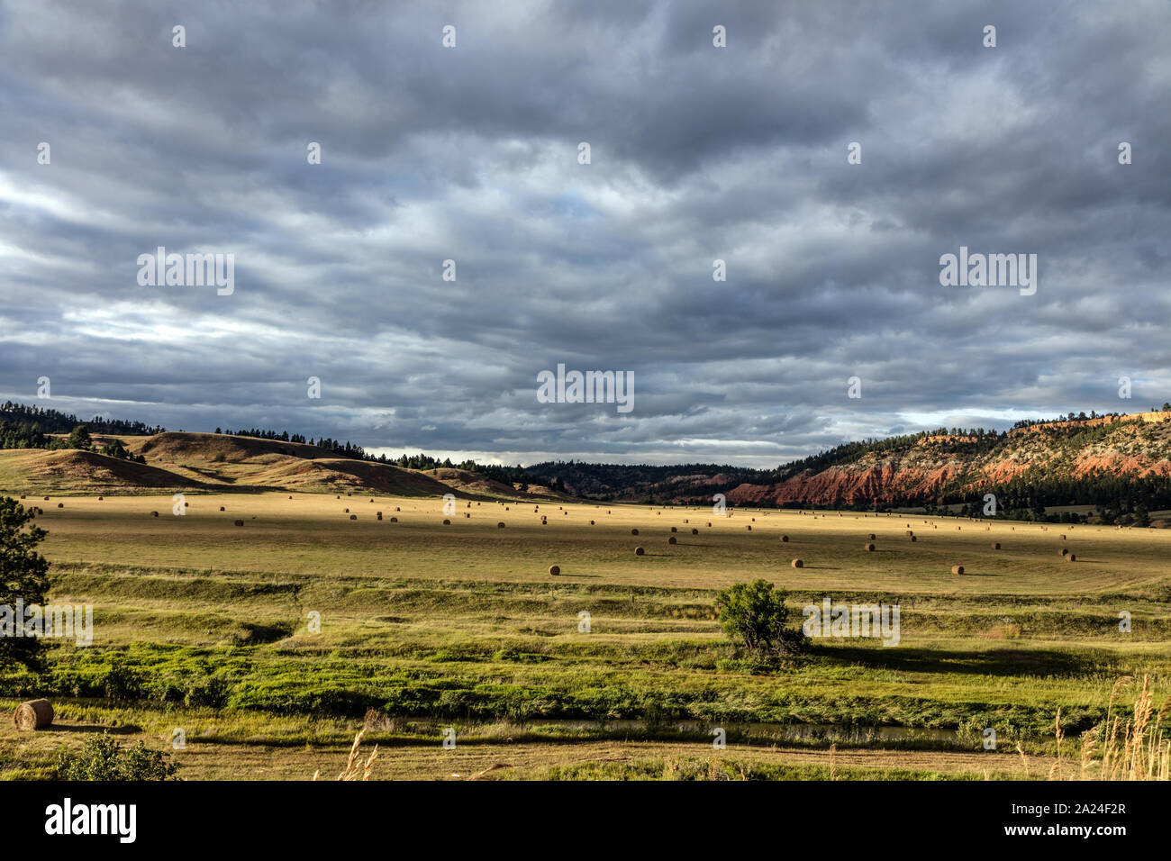 Pastoral scene in the Belle Fourche River Valley above Hulett in Crook County, Wyoming Stock