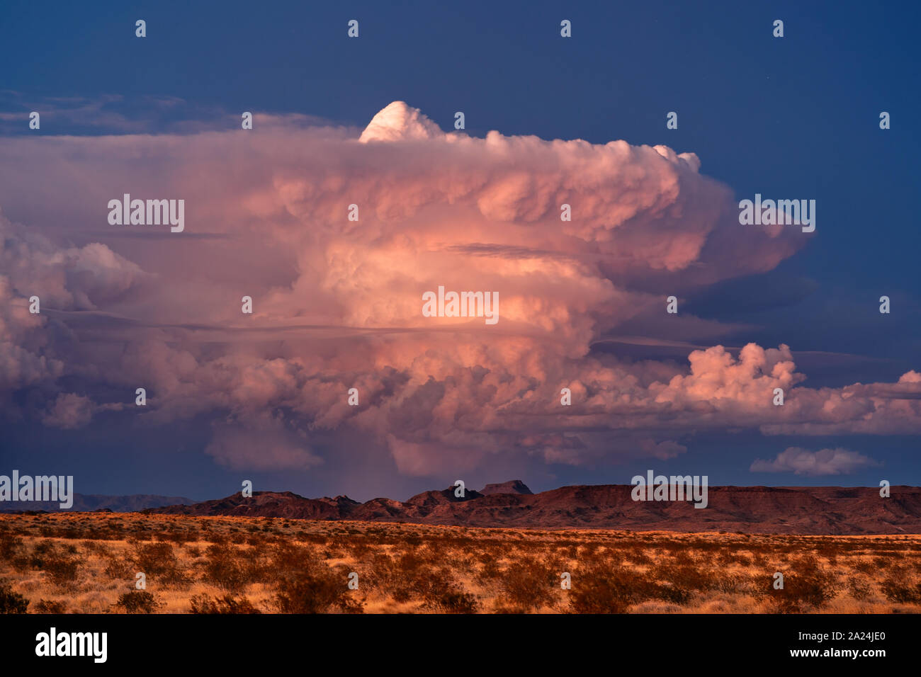 A supercell thunderstorm cumulonimbus cloud catches colorful, sunset light in the desert near Lake Havasu City, Arizona Stock Photo