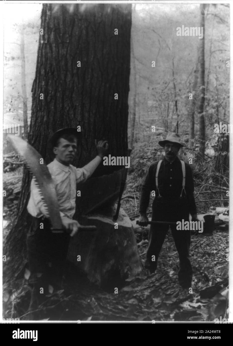 Pennsylvania. Lumbering and lumber towns Lumberjacks at work, Norwich Stock Photo Alamy
