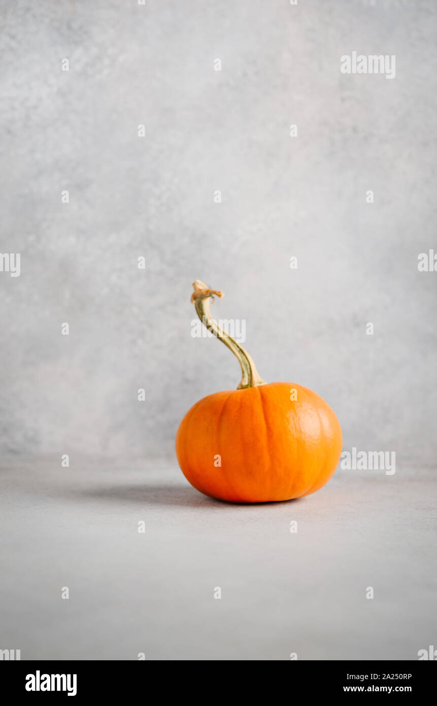 Autumn background with pumpkin on a gray concrete background. Stock Photo