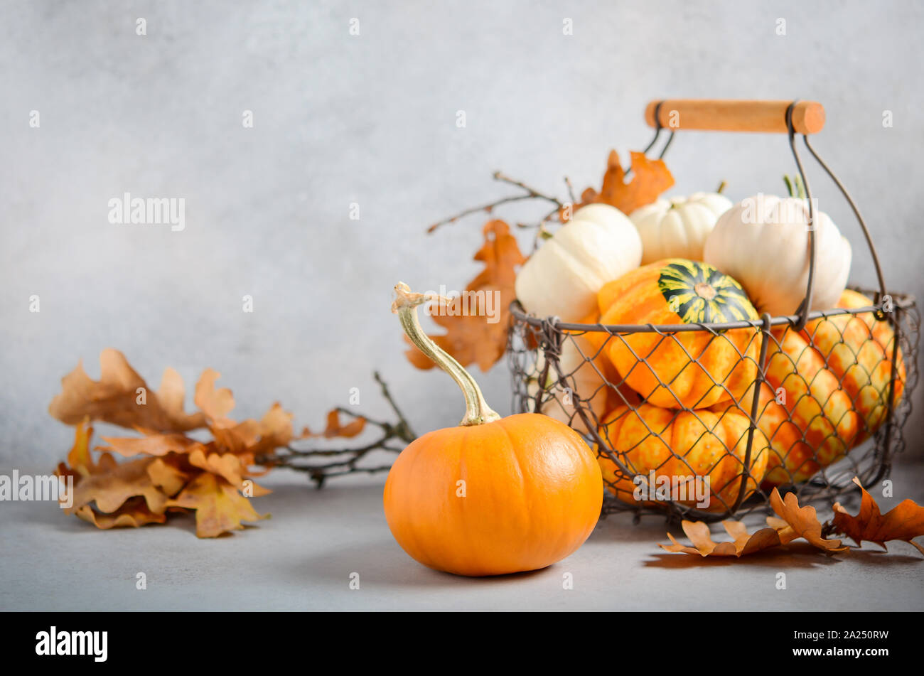Autumn background with mini pumpkins in a basket on a gray concrete background. Stock Photo