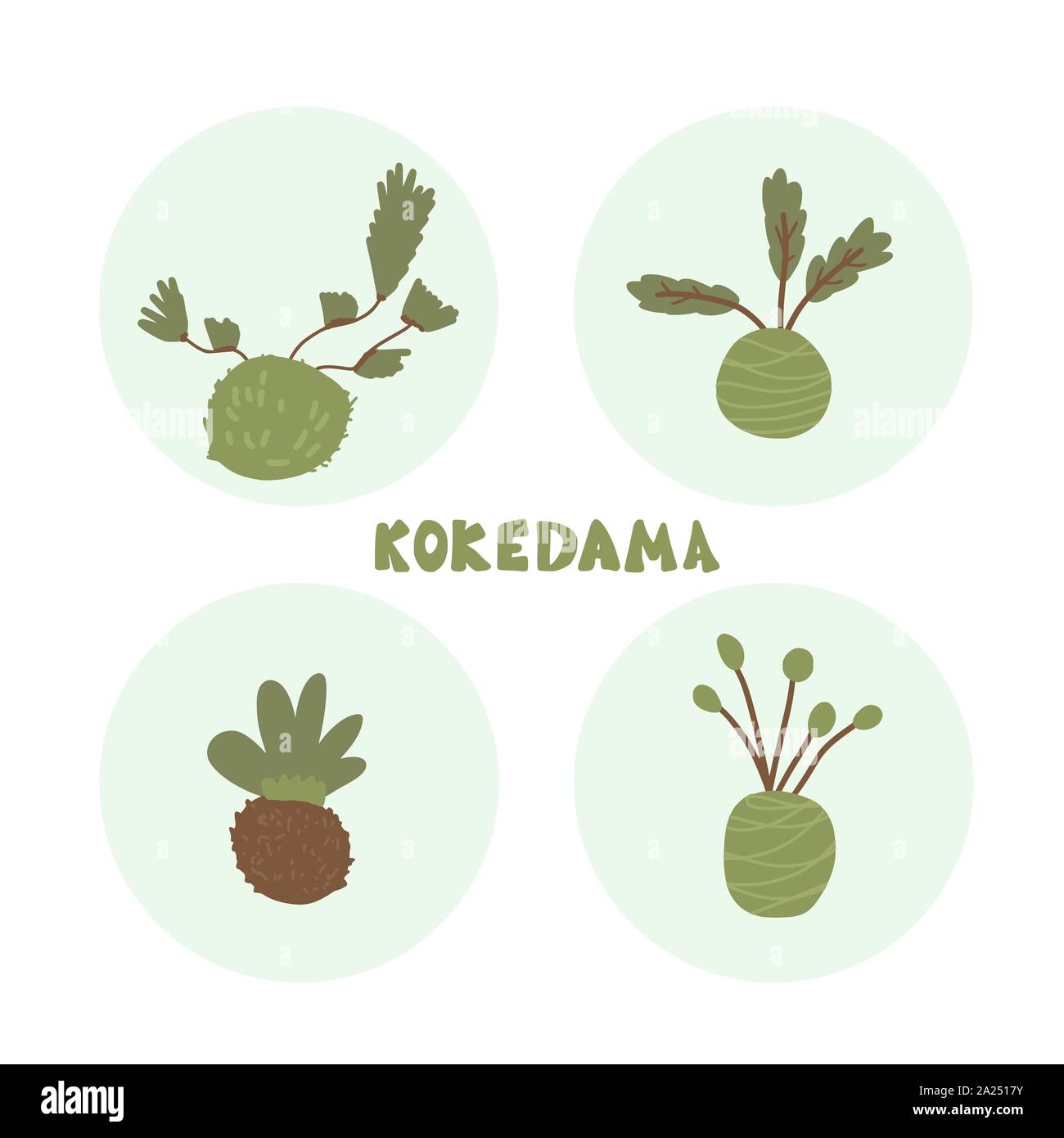Kokedama set. Vector color illustration Stock Vector Image & Art - Alamy