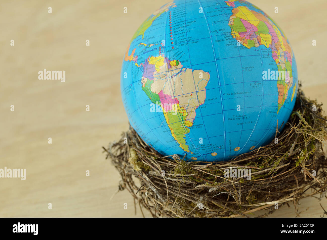 Planet earth in a bird nest on white background - Concept of environmental conservation and planet protection Stock Photo