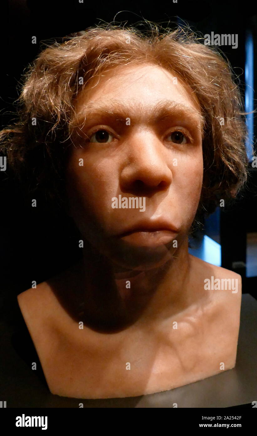 Reconstructed bust of a Neanderthal Man from Le Moustier, France, 45,000 BC. Stock Photo