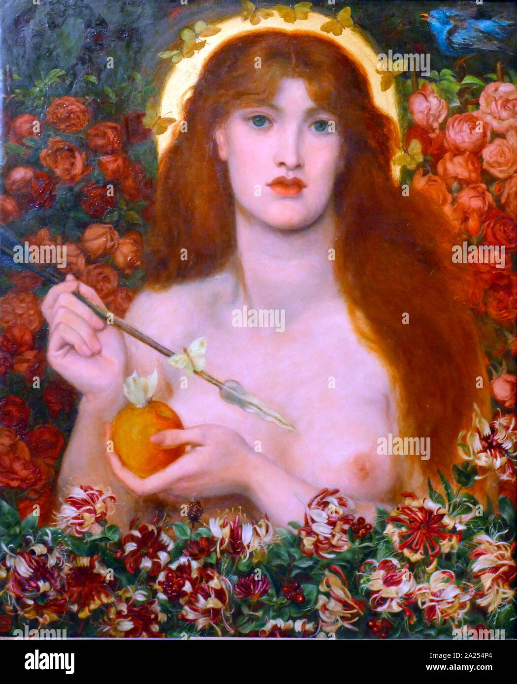 Venus Verticordia (1868), painted by Dante Gabriel Rossetti. Venus Verticordia ('the changer of hearts') was an epithet of the Roman goddess Venus, alluding to the goddess' ability to change hearts from lust to chastity. Dante Gabriel Rossetti (1828 - 1882) was a British poet, illustrator, and painter. He founded the Pre-Raphaelite Brotherhood in 1848 Stock Photo