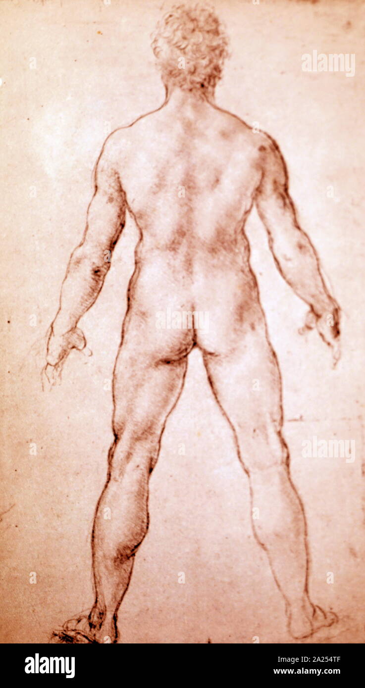 The Proportions of a man; 1506, Pen and ink. By Leonardo da Vinci (1452 - 1519), the Italian Renaissance polymath. Da Vinci was expert in invention, painting, architecture, science and engineering. considered one of the greatest painters of all time he epitomised the Renaissance humanist ideal. Stock Photo