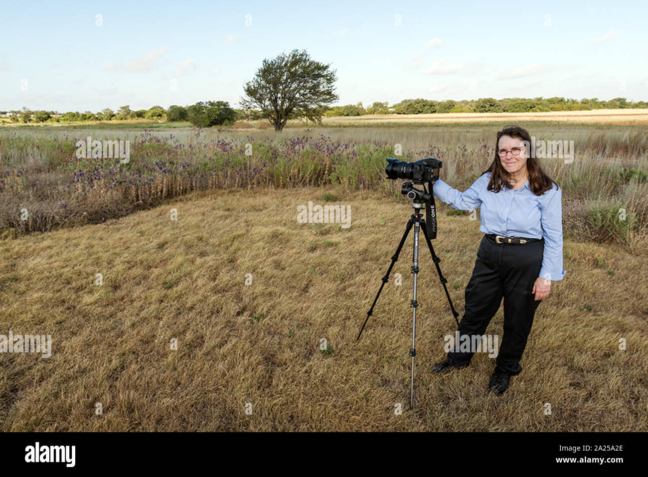 Photographer Carol M. Highsmith creates a visual record of a portion of the Prairie Chapel Ranch in McLennon County, near Crawford, Texas, owned by former president George W. Bush and former first lady Laura Bush. In this field, they are helping to bring back a tiny part of what was once a tallgrass prairie so vast that it stretched from mid-Texas northward into Canada Stock Photo