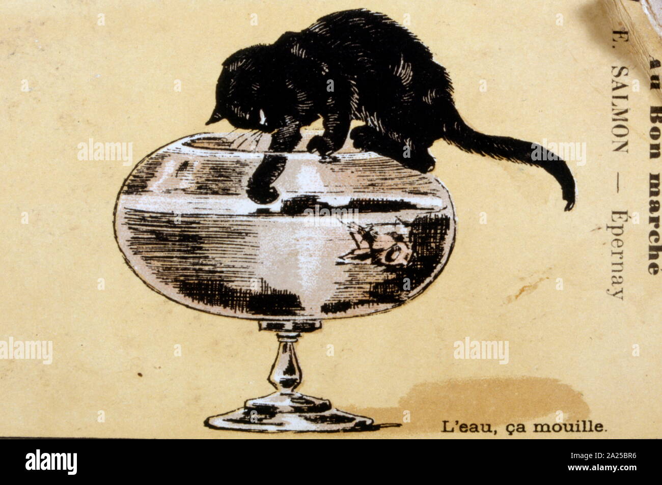 French illustration of a cat on the rim of a fish bowl, 19th century Stock Photo