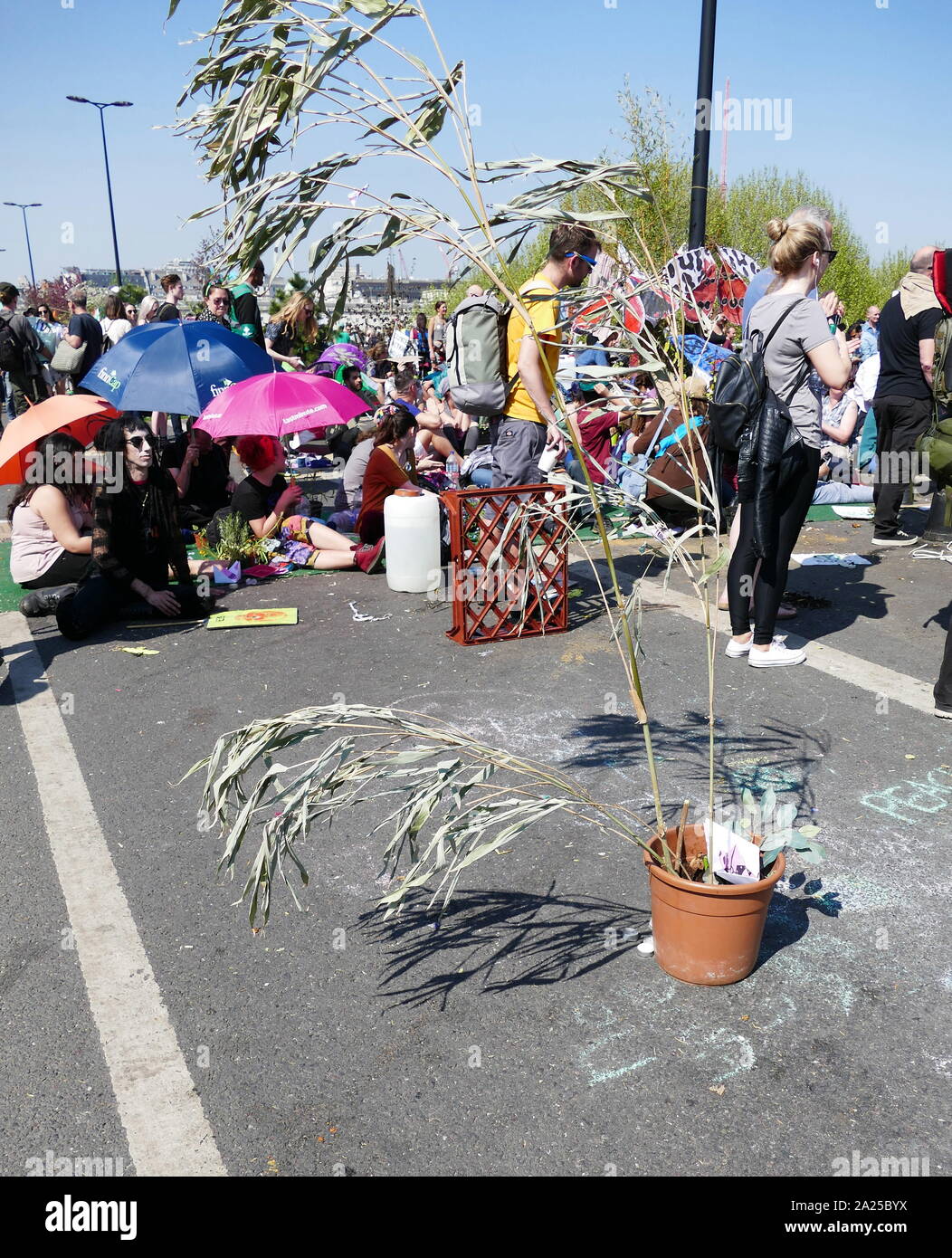 Extinction Rebellion climate change protesters protest peacefully, by occcupying Waterloo Bridge, in London. April 20th 2019 Stock Photo