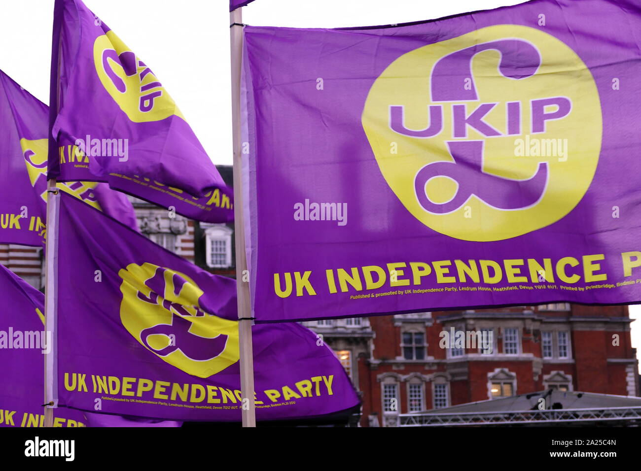 Brexit campaign. 'UKIP' (United Kingdom Independence Party) flags displayed opposite Parliament in London, April 2019.Brexit is the process of the withdrawal of the United Kingdom (UK) from the European Union (EU). Following a referendum held on 23 June 2016 in which 51.9 per cent of those voting supported leaving the EU Stock Photo