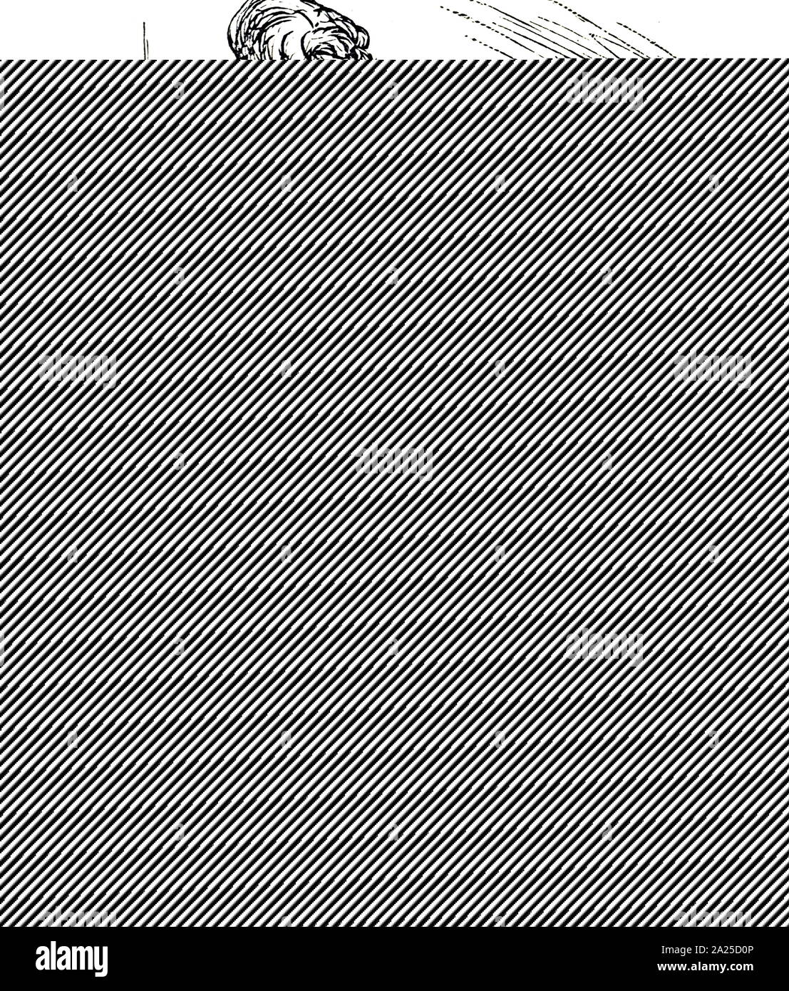 Engraving depicting an India rubber ball, filled under pressure with