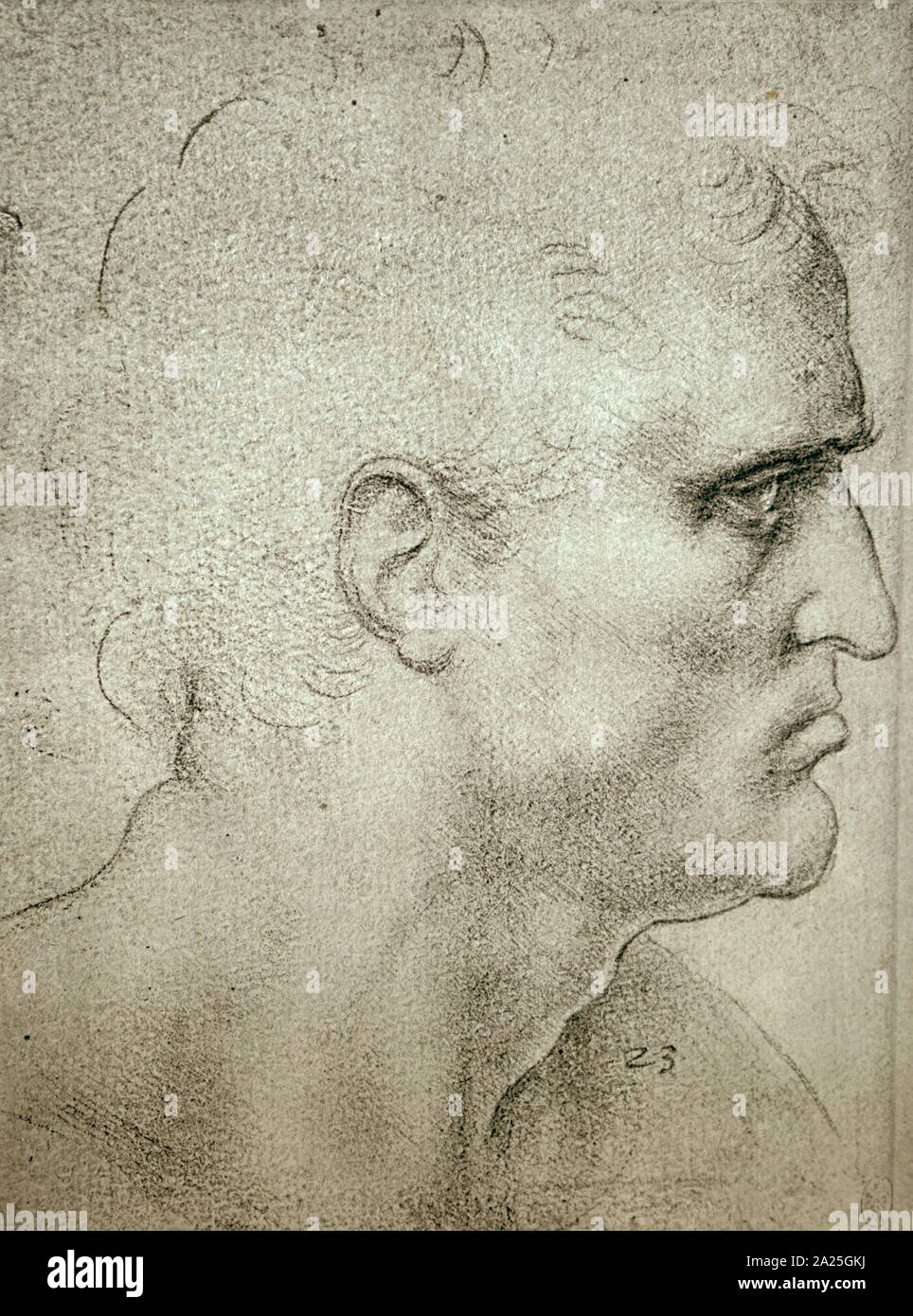 Sketch titled 'The head of St Bartholomew' by Leonardo da Vinci. Leonardo di ser Piero da Vinci (1452-1519) an Italian polymath of the Renaissance. Stock Photo