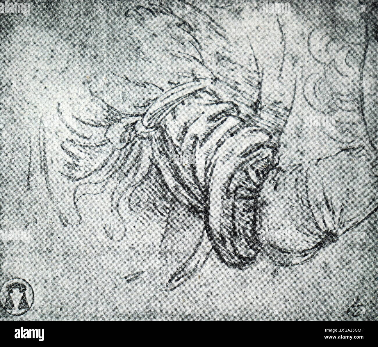 sketch-of-the-angel-of-annunciation-by-leonardo-da-vinci-leonardo-di