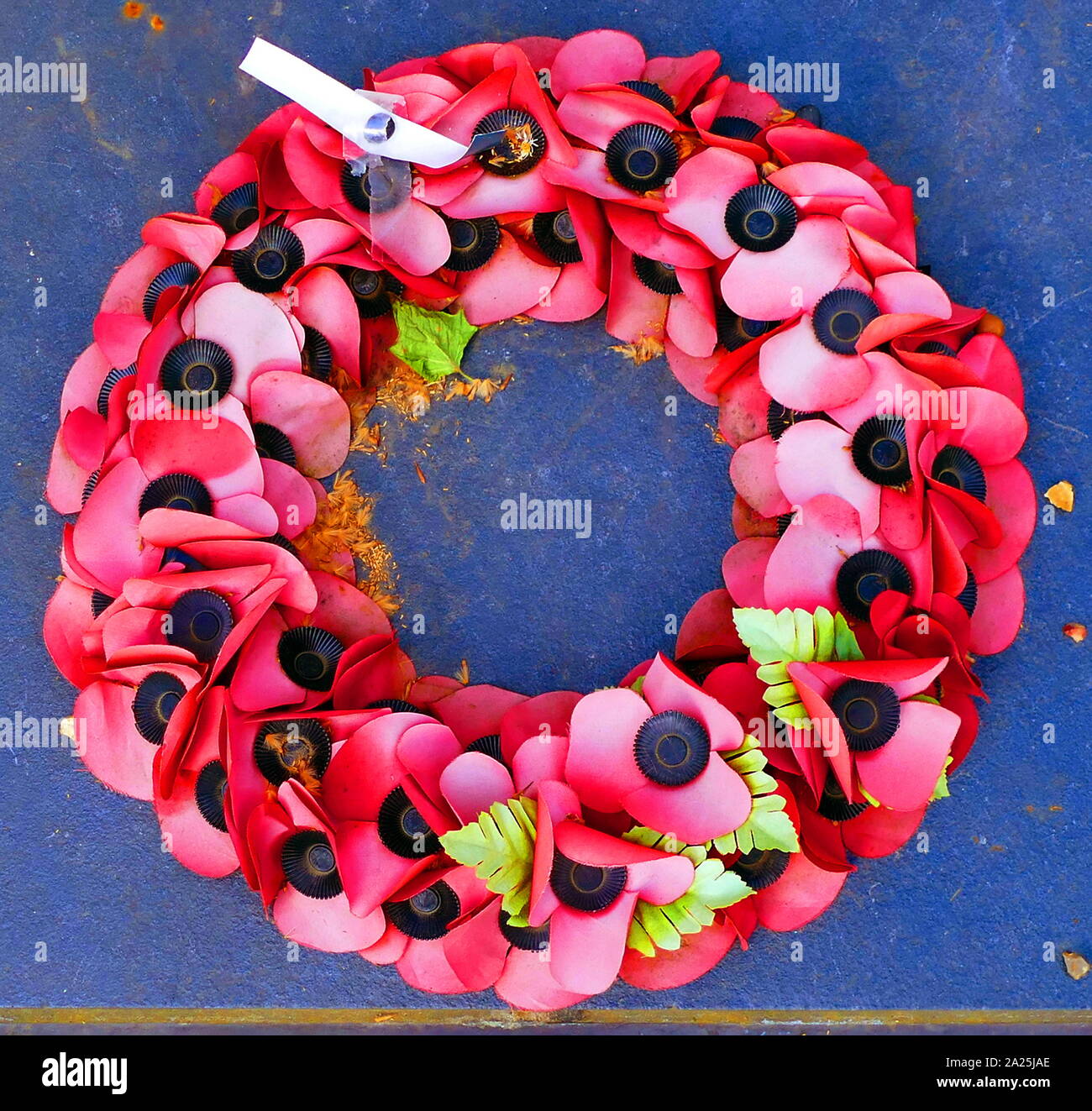 Wreath of poppies to commemorate war Dead Stock Photo