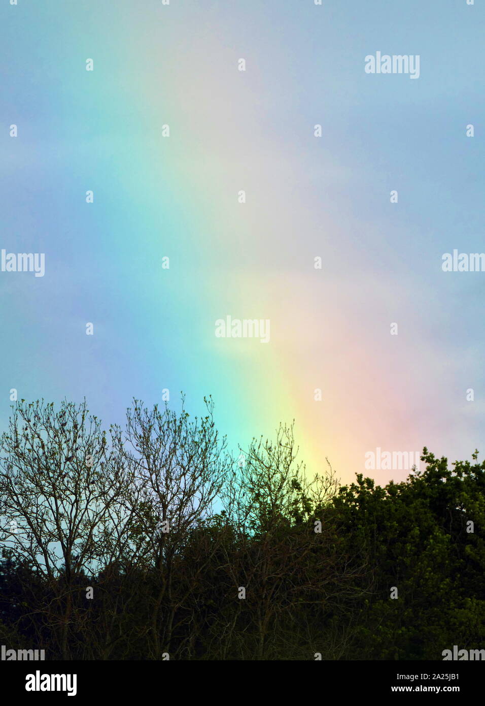 A rainbow is a meteorological phenomenon that is caused by reflection