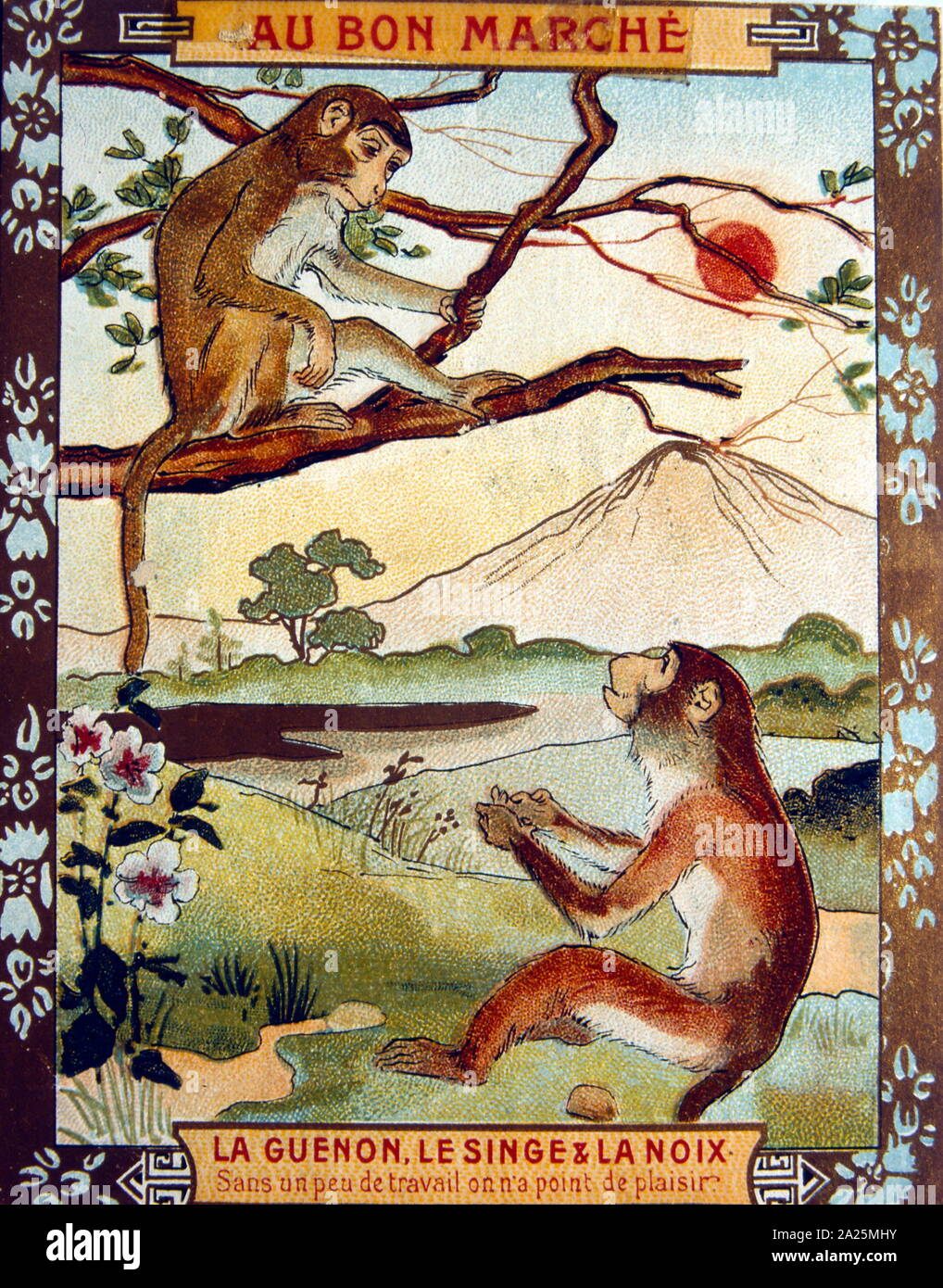 Illustration La Guenon Le Singe Et La Noix Illustration from a 1900 edition of fables by Jean de La Fontaine (1621 – 1695), French fabulist and one of the most widely read French poets of the 17th century. He is
