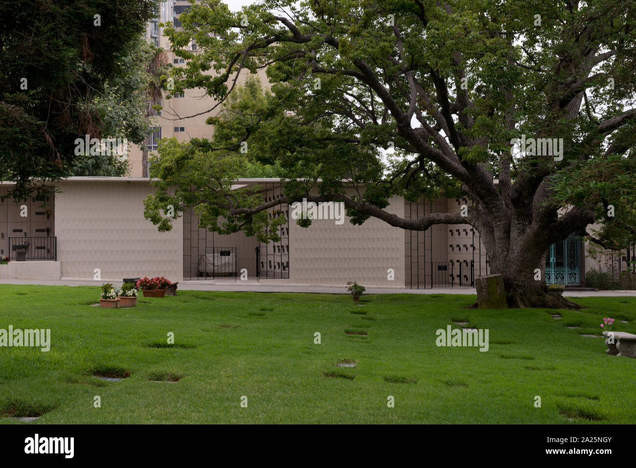 westwood memorial park los angeles california