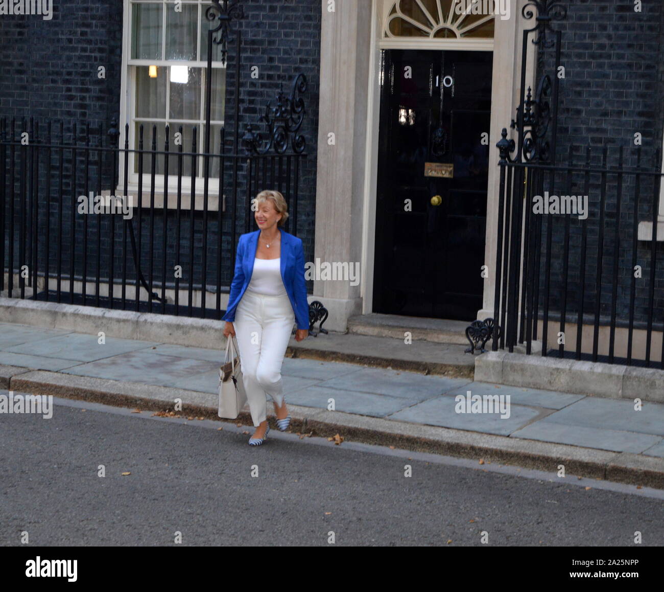 Andrea leadsom; british conservative party politician, arrives at number 10 downing street to be appointed as secretary of state for business, energy and industrial strategy, under boris johnson. Stock Photo