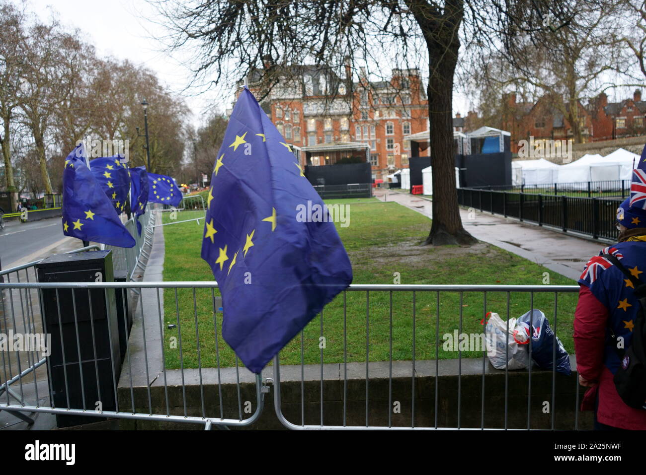 Eu flags at college green opposite the uk parliament. march 2019, protest demanding a fresh eu referendum Stock Photo