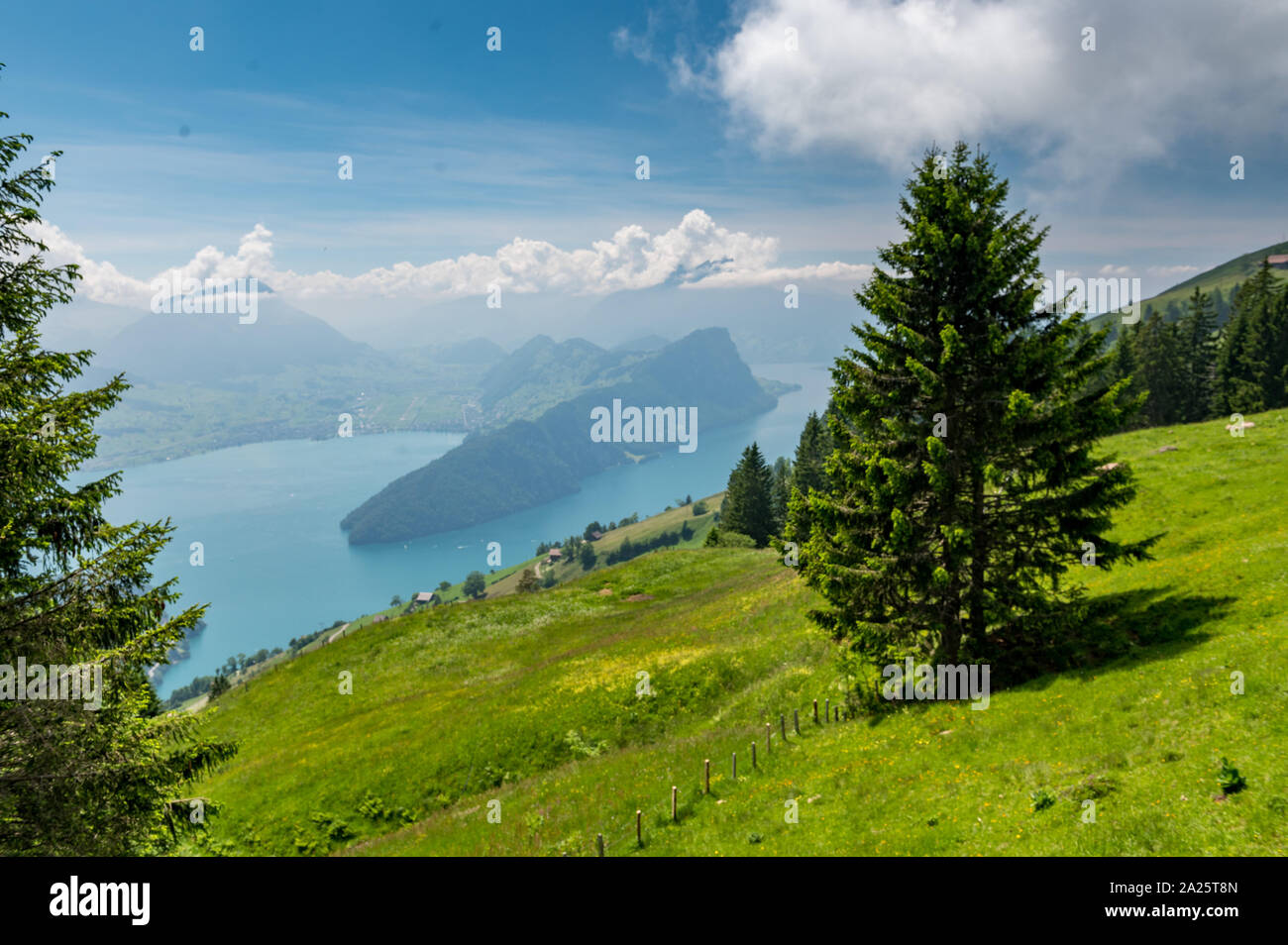 Aussicht vom Vitznau Hinterbergen auf den Vierwaldstättersee Stock Photo