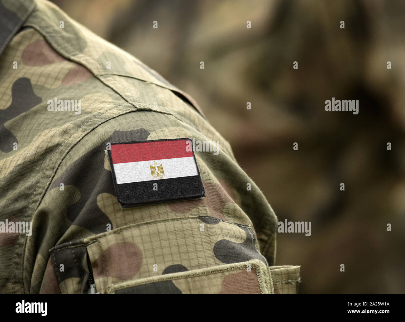 Flag of Egypt on military uniform. Army, soldiers, Africa (collage ...