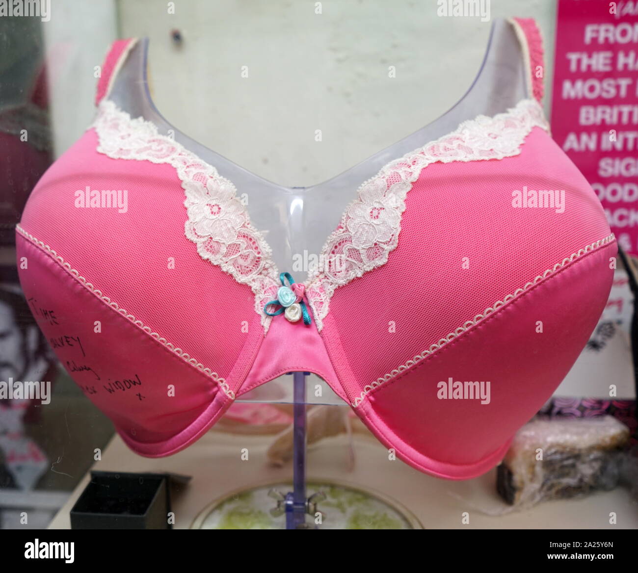 An autographed bra belonging to Linda Calvey 'The Black Widow'. Linda Calvey (born Linda E P Welford) (1948-) an English murderer and armed robber, jailed for killing her lover Ronnie Cook in 1990. Stock Photo