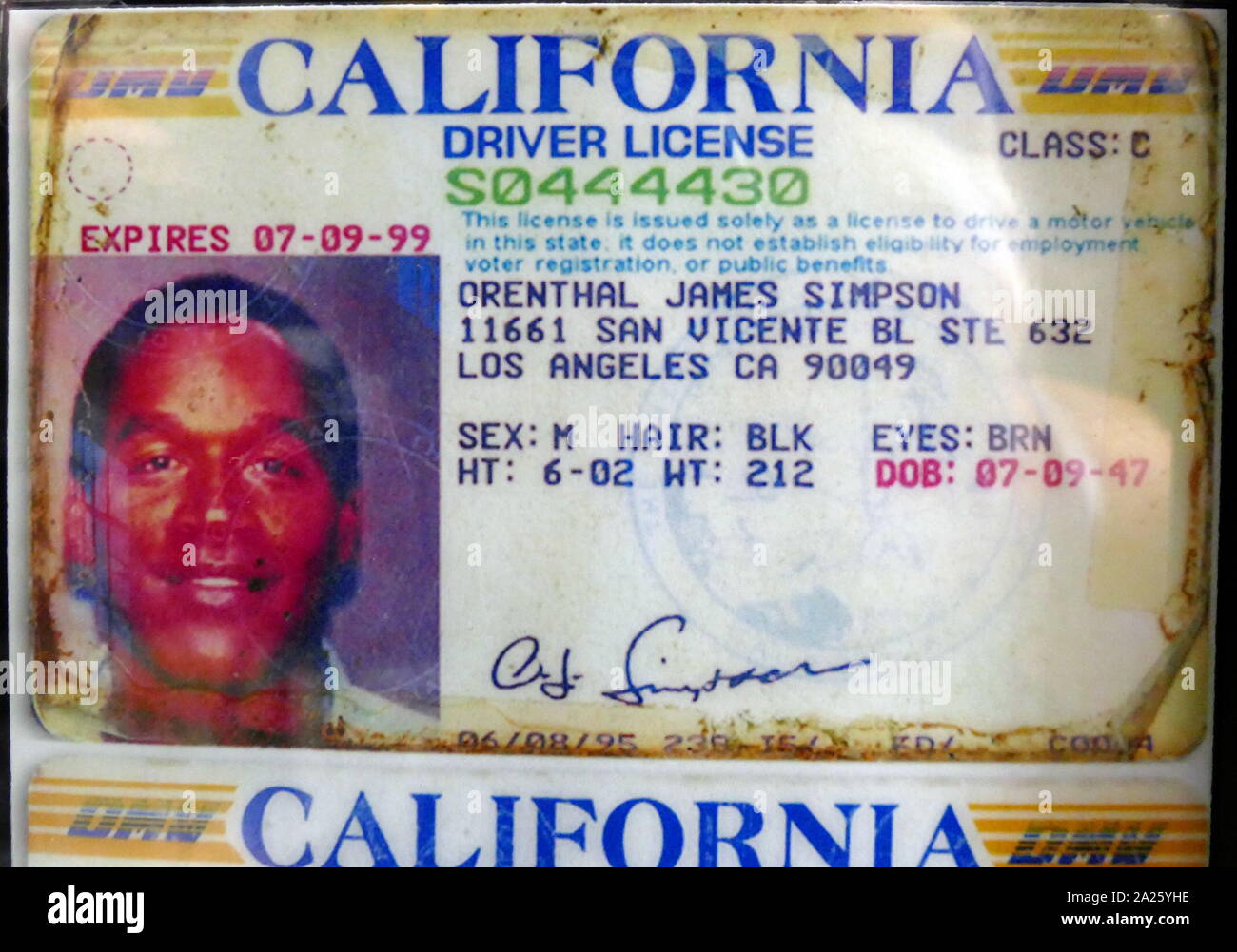 A copy of O. J. Simpson's driving licence. Orenthal James Simpson (1947-) an American former running back, broadcaster, actor, advertising spokesman, and convicted robber. Simpson stood accused for the murders of his ex-wife Nicole Brown and waiter Ron Goldman in 1994. He was acquitted on both counts of murder on October 3, 1995. Stock Photo
