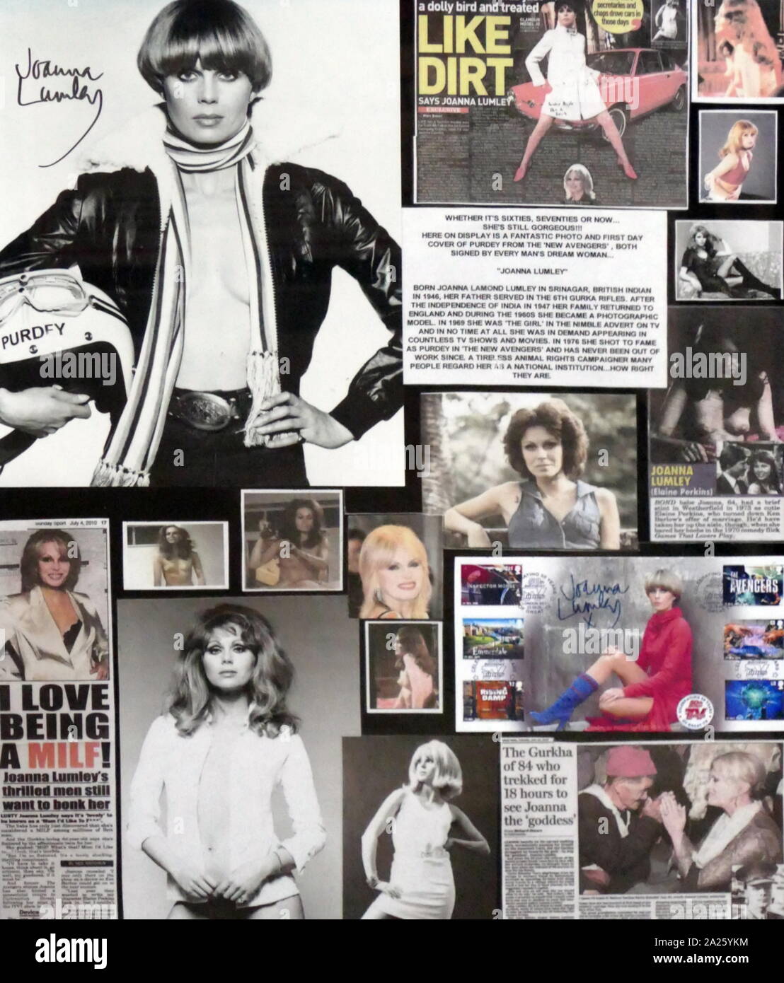 A montage of images celebrating Joanna Lumley (1946-) an English actress, former model, author and activist. Stock Photo
