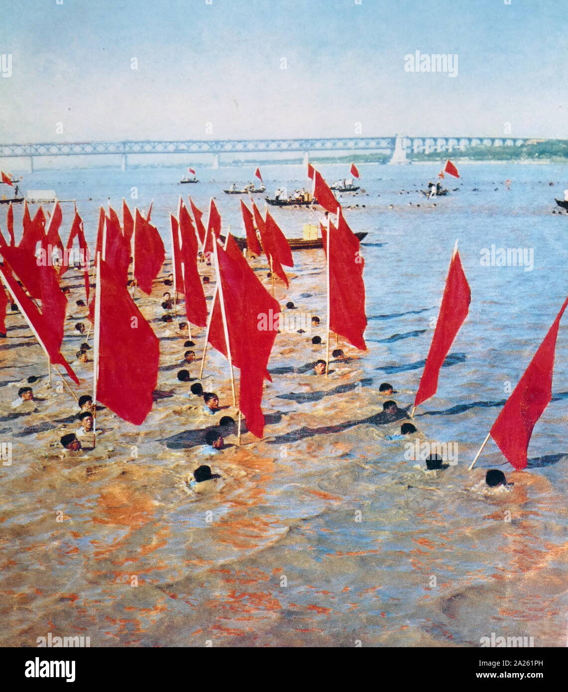 Red Guards swim in the Yangtze River, carrying red flags, during the Chinese Cultural Revolution. 1967 Stock Photo