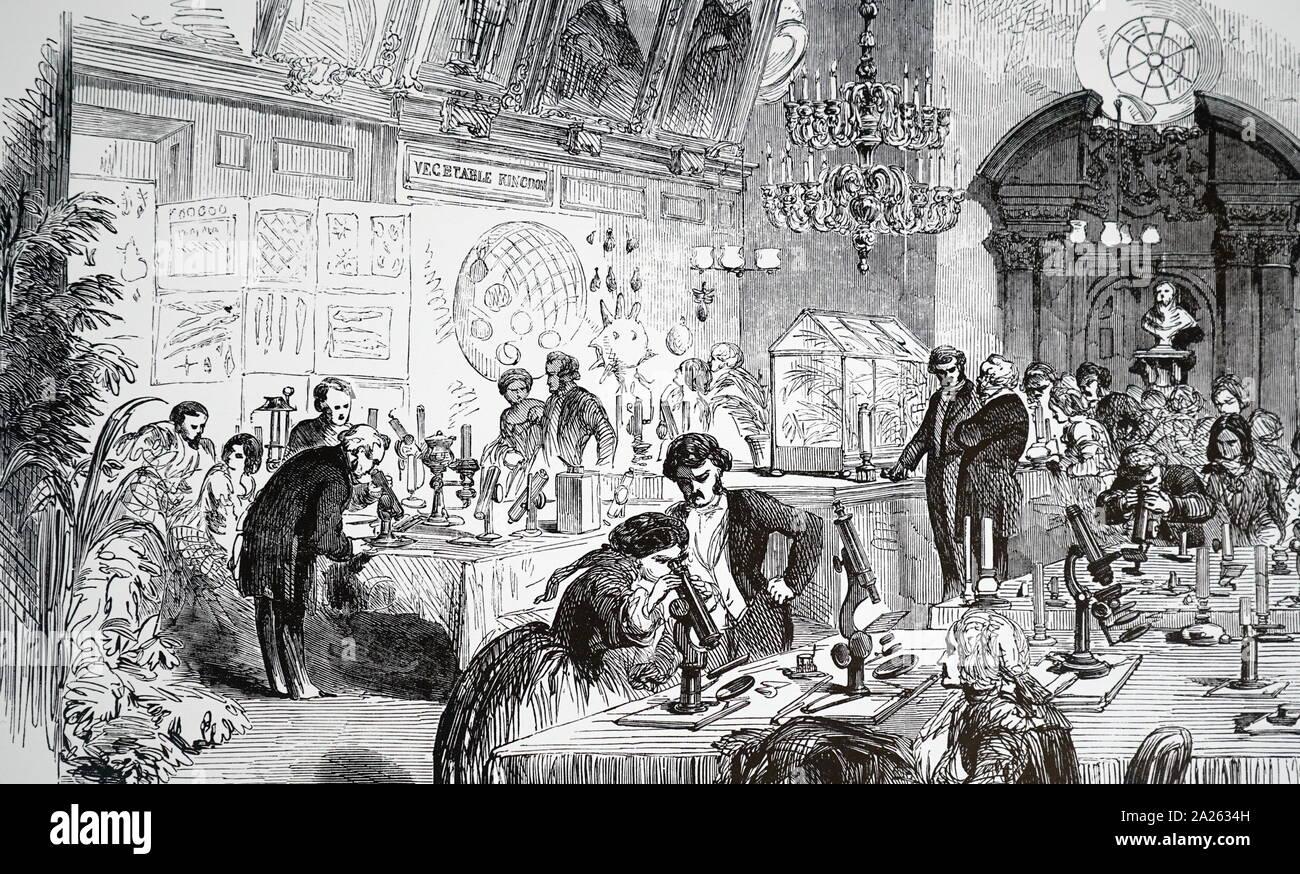 An engraving depicting the scientific conversazione at Apothecaries Hall. Dated 19th century Stock Photo