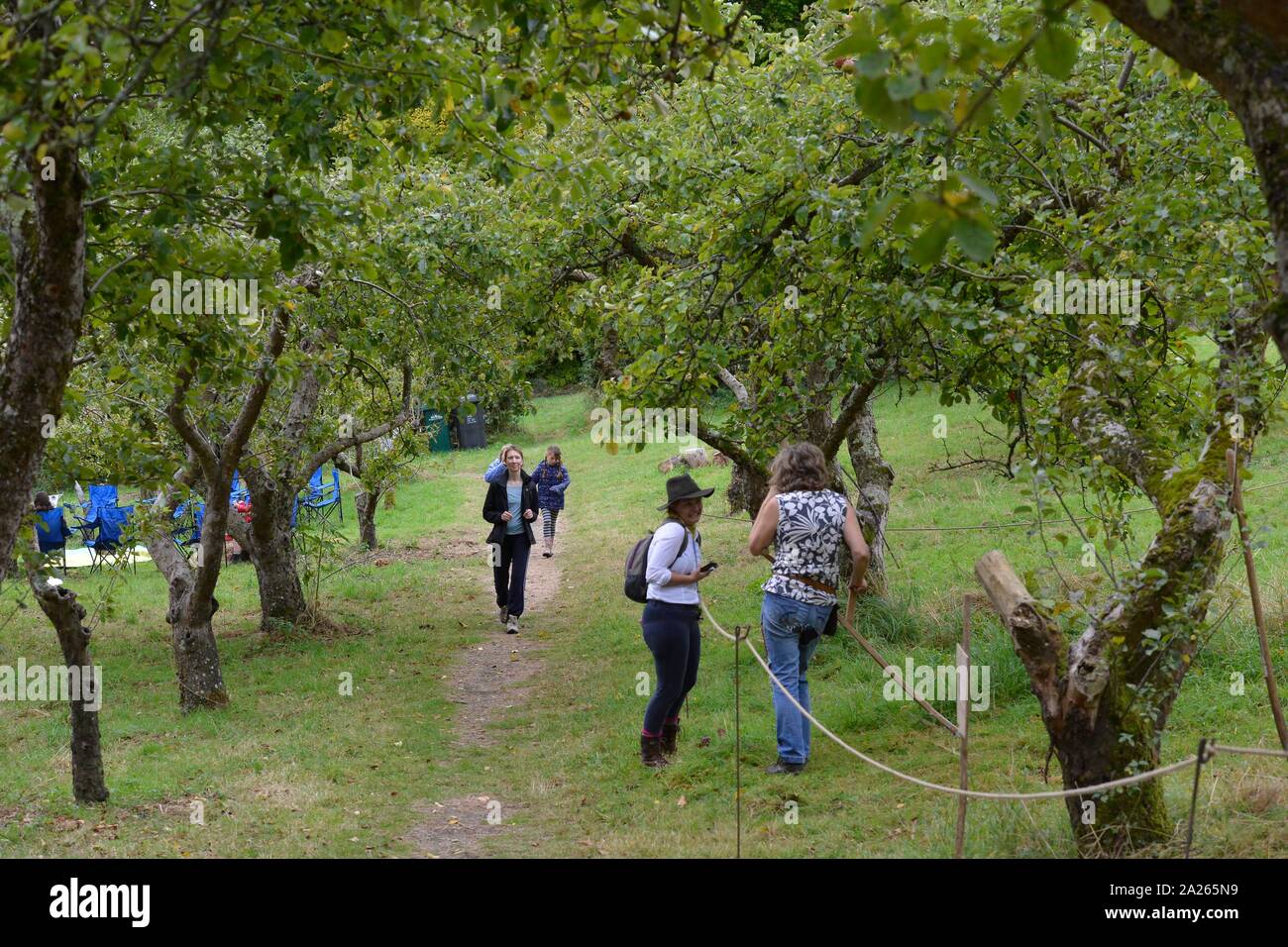 Apple Day 2019 festival at Stanmer Park, Brighton. Picture:Terry Applin Stock Photo