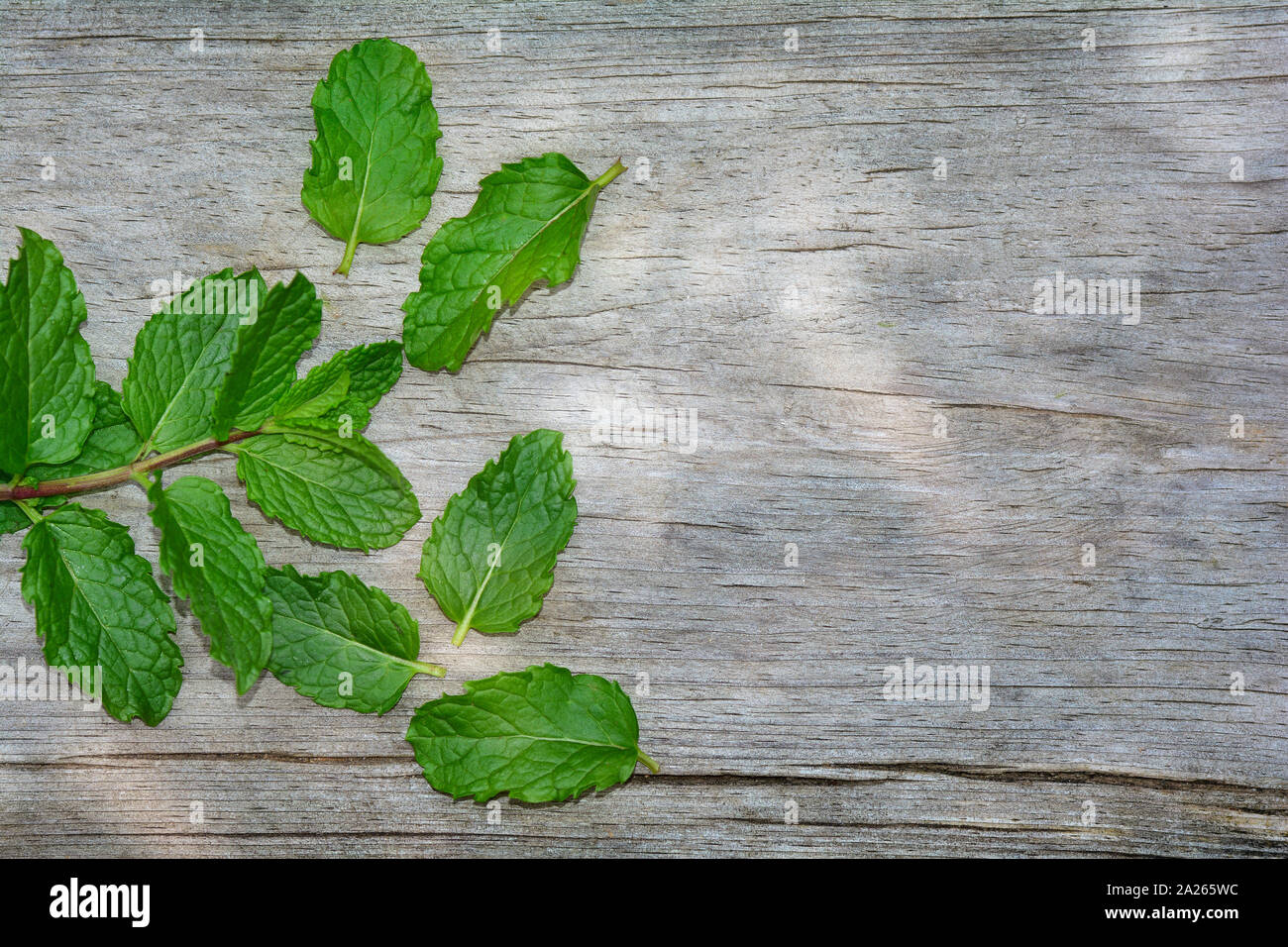 Fresh peppermint leaves on bright old wood , on the left side, with copy space Stock Photo
