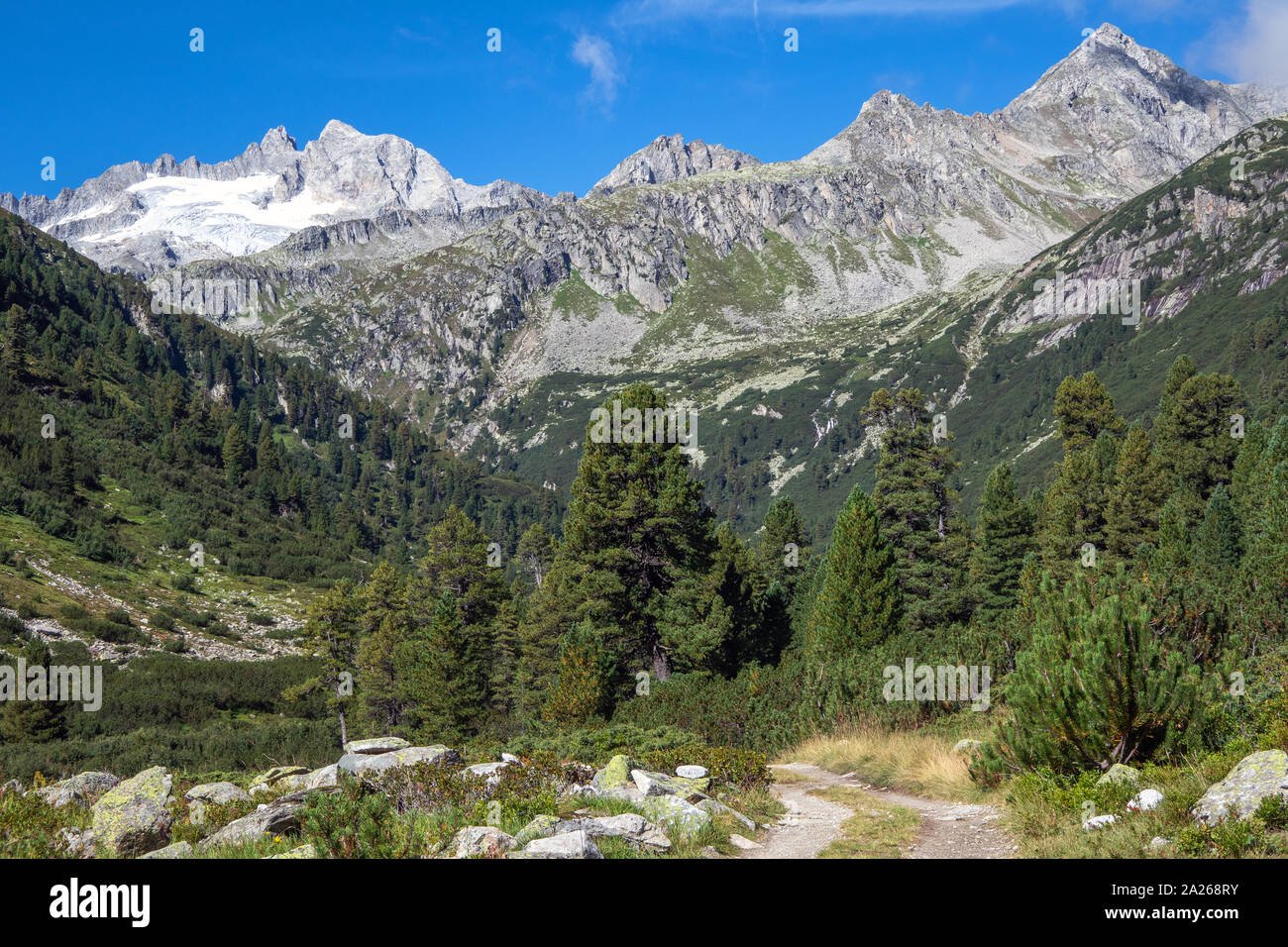 Rainbachtal valley alpine landscape, a side valley of the Krimmler Achental. Hohe Tauern National Park. Austrian Alps. Europe. Stock Photo