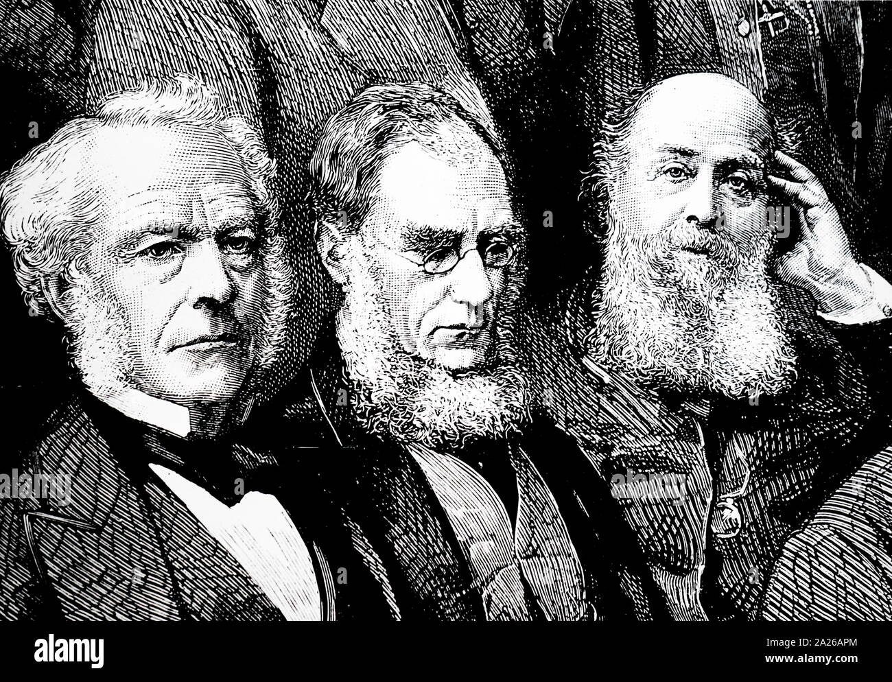Illustration showing Sir Joseph Dalton Hooker (1817 – 1911); British botanist and explorer in the 19th century. He was a founder of geographical botany and Charles Darwin's closest friend. For twenty years he served as director of the Royal Botanical Gardens, Kew, On his left is Gabriel Stokes and on his right J.J. Sylvester the mathematician Stock Photo