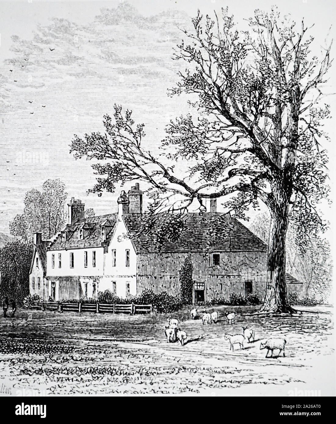 Tarradale, Ross, birthplace of Roderick Impey Murchison (1792-1871); British geologist who first described and investigated the Silurian system. Stock Photo