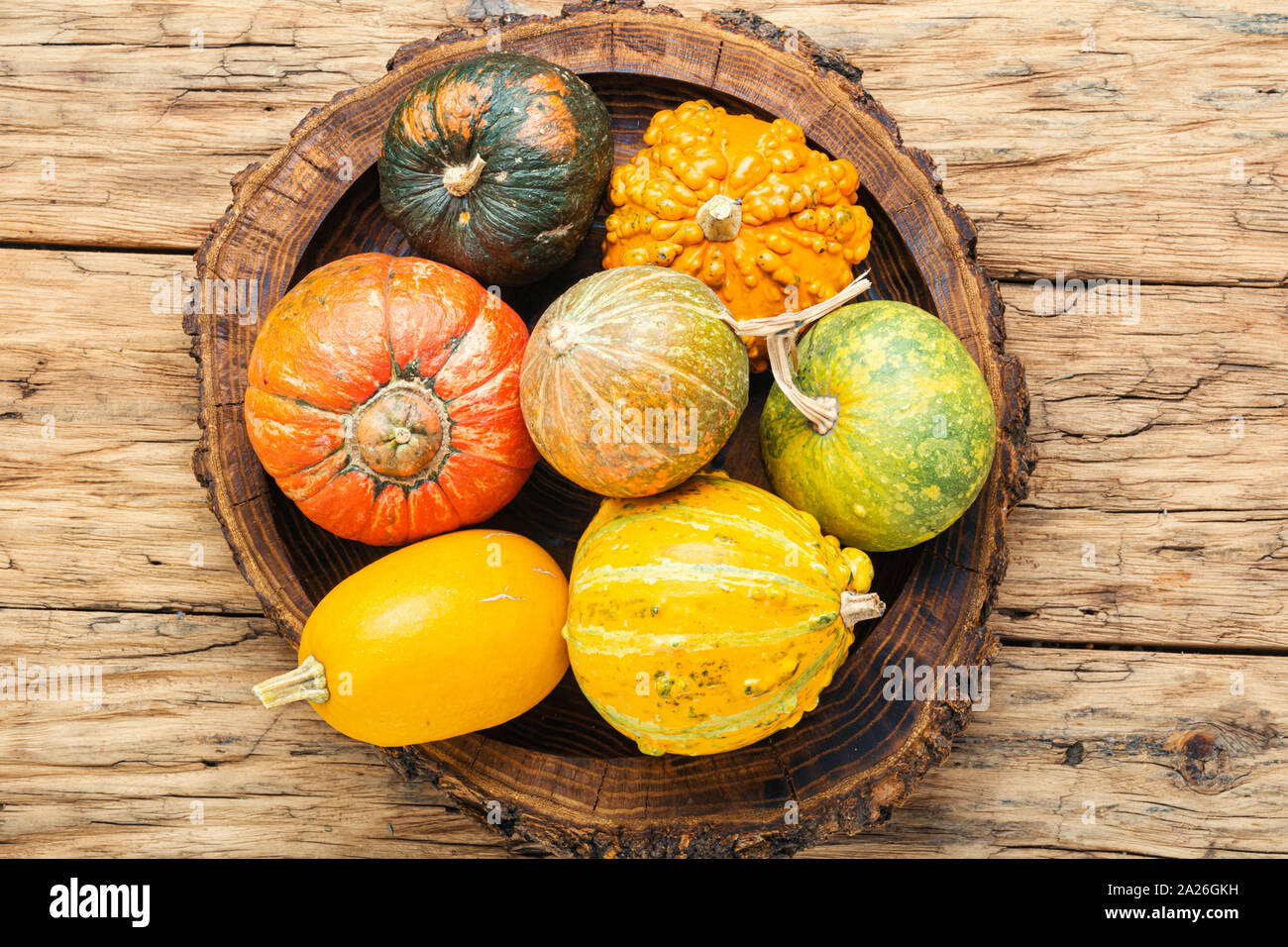 Big set of autumn pumpkins on old wooden table.Autumn symbol Stock ...